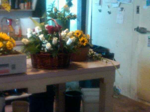 163287_583860776674_51301462_32882722_6250243_n