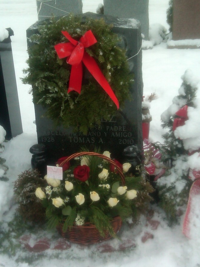 IMG00346-20110108-1107