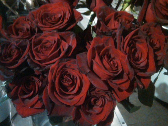 IMG00071-20101112-0919