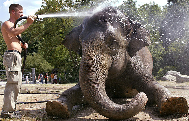 03_heat_wave_654_9724