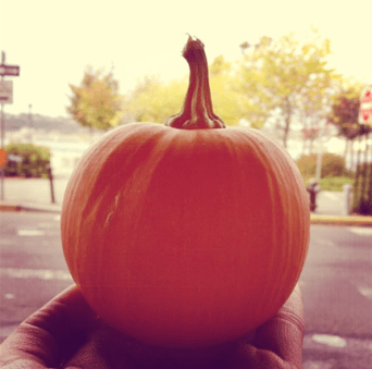 Gourde_La_Suazo - Insta